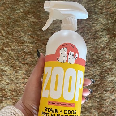 Cropped image of woman holding ZOOP pet stain and odor remover.