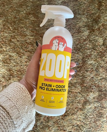A 32-ounce bottle of Zoop Stain + Odor Pro Eliminator being held in a woman's hand against a backdrop of shag carpet.