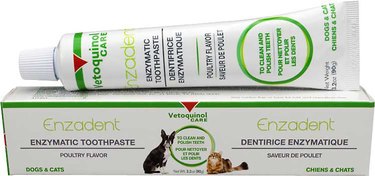 Vetoquinol Enzadent Enzymatic Toothpaste