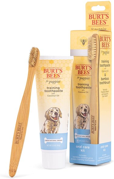 Burt's Bees for Puppies Natural Oral Care Kit