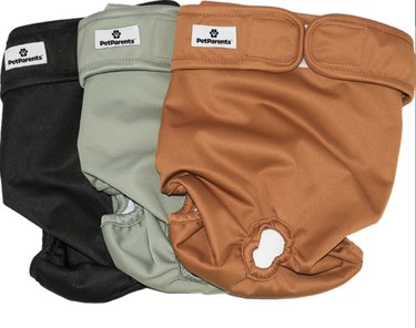 Pet Parents Washable Male & Female Dog Diapers, 3 count