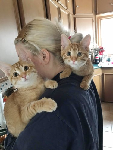 Woman holding two orange cats on her shoulders.