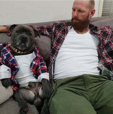 bulldog and man wear same outfit