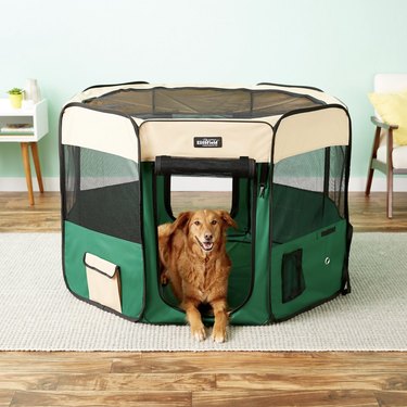 EliteField Soft-Sided Dog Playpen in Green
