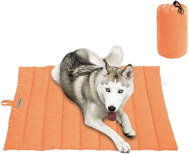 Cheerhunting Outdoor Dog Bed in Orange