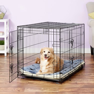 dog sitting in wire crate lined with a reversible crate mat