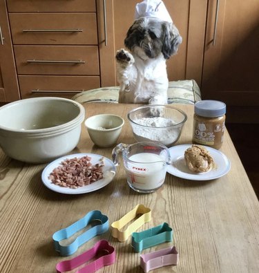 dog with baking supplies