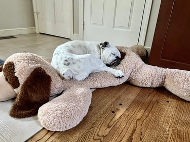 A dog is sleeping on a giant stuffed dog.