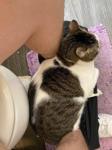 Large cat sitting between feet of person sitting on toilet.