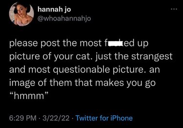 Screenshot of tweet from user whoahannahjo that says: please post...the strangest and most questionable picture. an image of them that makes you go "hmmm"