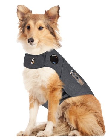 ThunderShirt Classic Anxiety & Calming Vest for Dogs