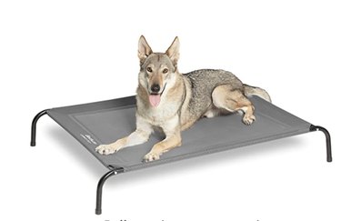 Bedsure Elevated Outdoor Dog Bed Size Large in Gray