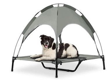 Free Paws Elevated Dog Bed With Canopy in Gray, Size Medium