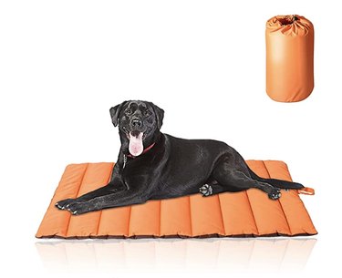 CHEERHUNTING Outdoor Dog Bed in Orange, Size Large