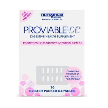 Nutramax Proviable Digestive Health Supplement Multi-Strain Probiotics and Prebiotics for Cats and Small Dogs