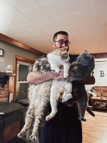 man holds 3 cats