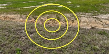 Close-up of the same photo with yellow circles added to show the location of an orange cat is hiding in a sandy spot outside.