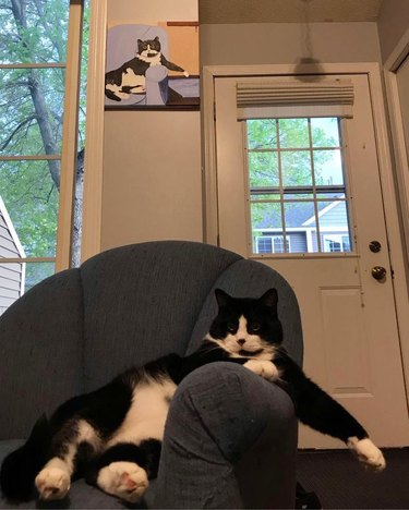 cat with paw dangling over arm of chair