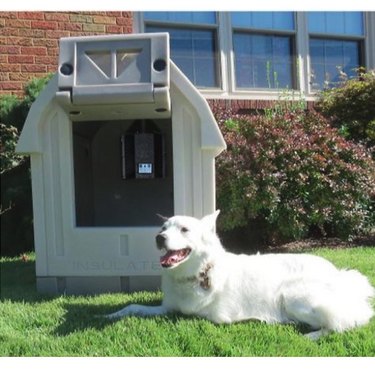 Dog Palace Insulated Heated Dog House