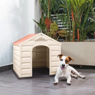 Rimax Resin Dog House for Small Breeds