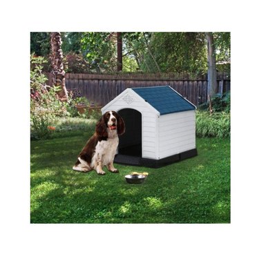 Best Pet Dog House Indoor Outdoor Pet Kennel with Air Vents and Elevated Floor