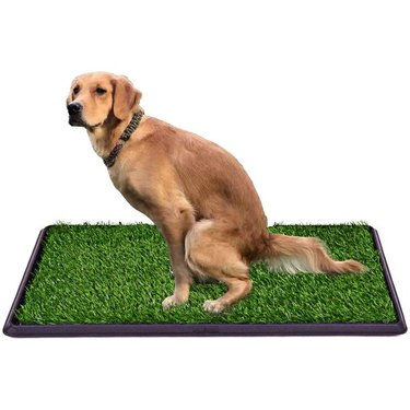 Pet Potty Pad Artificial Grass Trainer With Tray
