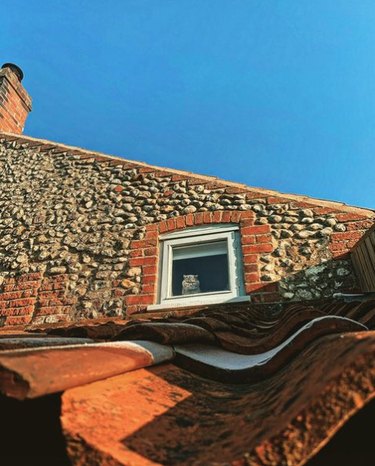 Upward view of a small window at the top of a brick house. In one corner of the window, a fluffy cat's face can be seen peering out.