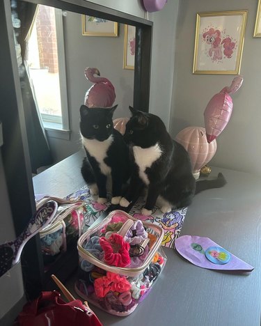 A tuxedo cat is studying their reflection in a mirror.