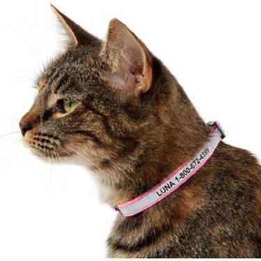 GoTags Nylon Reflective Personalized Breakaway Cat Collar with Bell