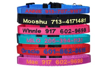 Personalized Nylon Cat Collar Breakaway with Bell