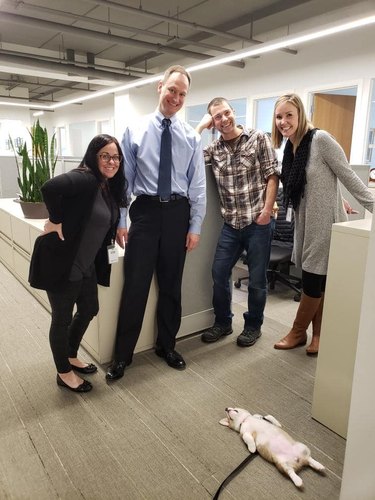 Corgi sleeping on the floor of an office and a group of co-workers smiling.