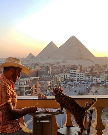Man and cat admiring Egyptian pyramids from a balcony.