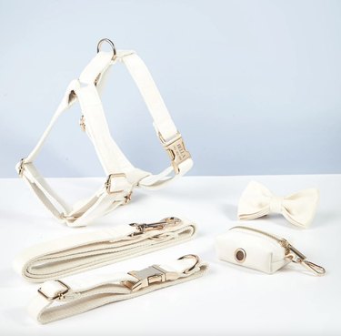 Dog harness set pictured in white with gold hardware and the name 'Bella' engraved on the harness buckle.