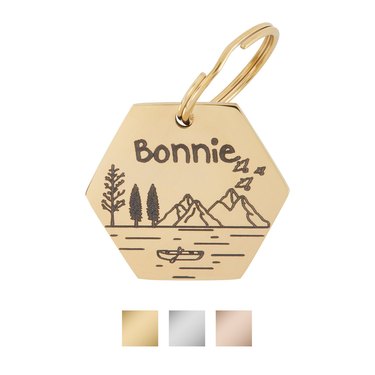 PawFurEver Hexagon Personalized ID Tag in the style 'Tahoe' in a gold finish
