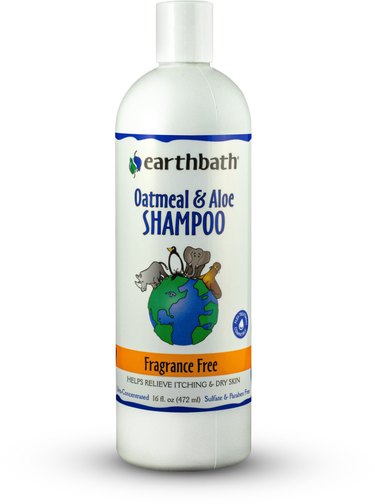 Earthbath Oatmeal Cat Shampoo, 16-oz. Bottle
