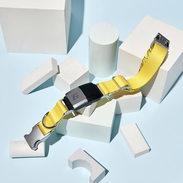 Yellow Fi Smart Dog Collar on a white stand and light blue background.