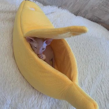 cat sleeping in banana bed