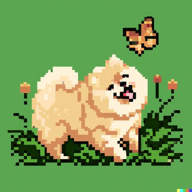 pixel art of cute pomeranian looking at a butterfly in a forest