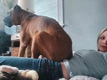 dog sits on woman's stomach