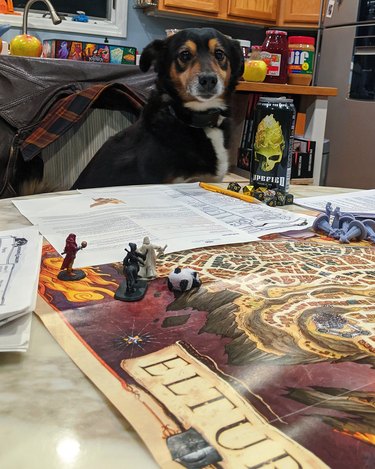 Dog sitting at table with D&D game set up