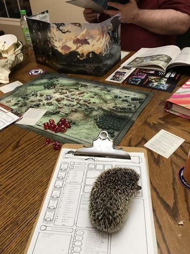 Hedgehog sitting on character sheet