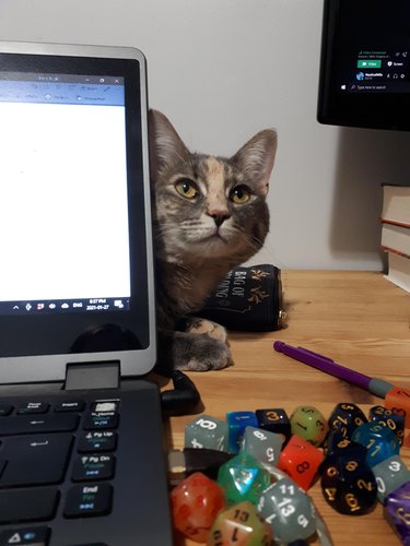 Cat hiding behind laptop screen