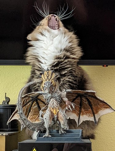 Cat yawing behind large imposing miniature of dragon