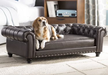 Larock Dog Sofa in Brown Faux Leather