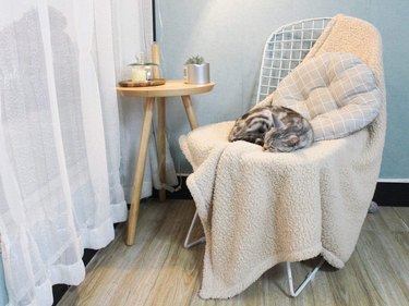 Cat curled up on a Furrybaby Fleece Blanket (beige color) that's draped over a chair