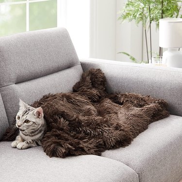 Best Friends by Sheri Blanket in Dark Brown Draped Across a Cat on Couch
