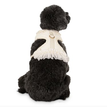 Bond & Co. Flower Girl Dog Harness