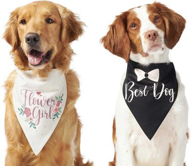 Frisco Wedding Reversible Dog Bandana