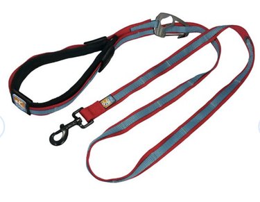 Kurgo Reflect & Protect Quantum Nylon Hands-Free Running Dog Leash in red/blue