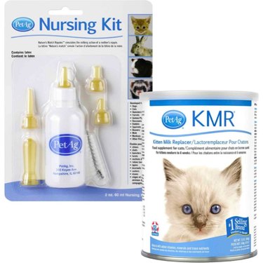 PetAg Complete Nursing Kit + KMR Kitten Milk Replacer Powder